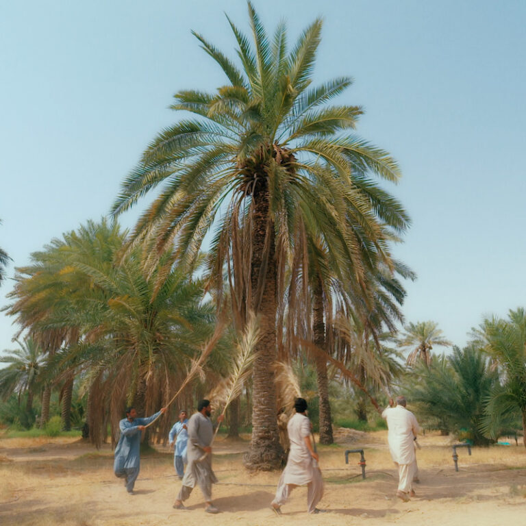 Zheng Bo, Phoenix (still), 2024. Video.